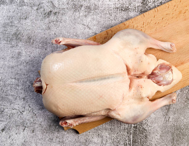istock Whole raw duck on a rectangular cutting wooden board on a dark grey background 1350752609