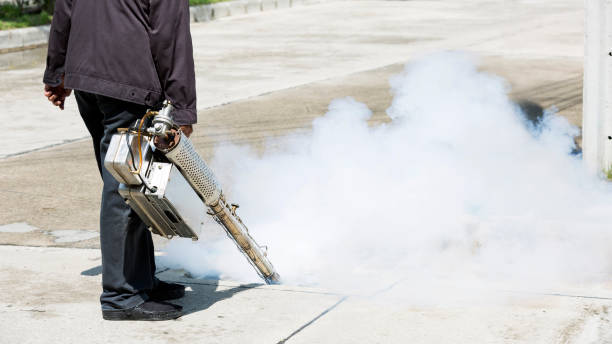 istock Man pointing smoke machine into manhole for pest control 1350754459