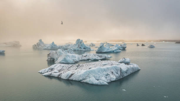 Jökulsárlón Iceberg Lagoon Iceland Panorama Jokulsarlon Twilight Iceland Jökulsarlon Lagoon. Drifting Icebergs on the natural glacier lake lagoon of Jökulsarlon under moody foggy sunset twilight light. Jokulsarlon, Drone Flight Point of View. Vatnajökull National Park, Route 1, Southeast Iceland, Iceland, Nordic Countries, Northern Europe golden circle route photos stock pictures, royalty-free photos & images