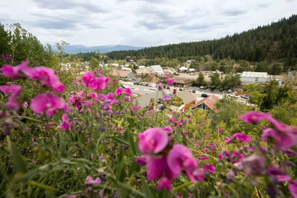 Truckee, California