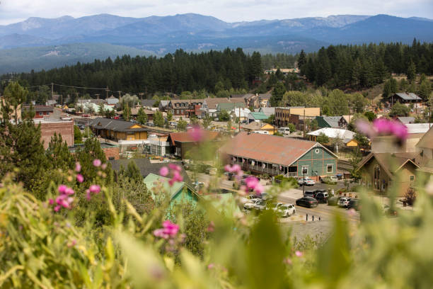 istock Truckee, California 1350758825