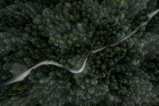 istock Moody view over a curvy street, straight from above 1350760498