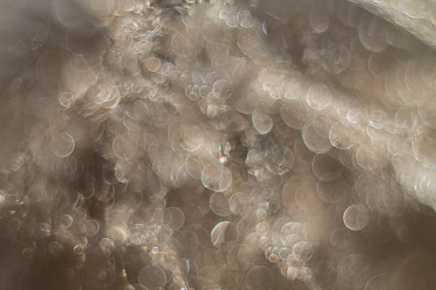 istock background with bokeh of water drops on dandelion 1350760880