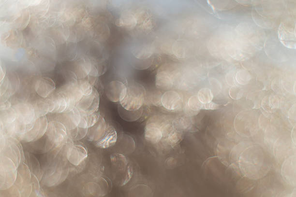 istock background with bokeh of water drops on dandelion 1350760893
