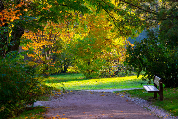 Autumn colors in park with path, bench, vegetation and sunlight in the middle of park Tivoli, Slovenia.