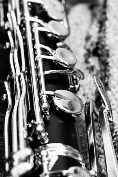 istock Bass Clarinet #3 1350768719