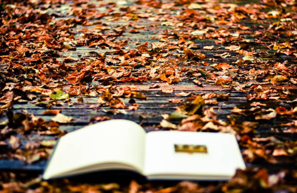 autumn