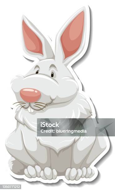 White Rabbit Cartoon Character Set Rabbit Cartoon Character On White Background Stock Illustration ...