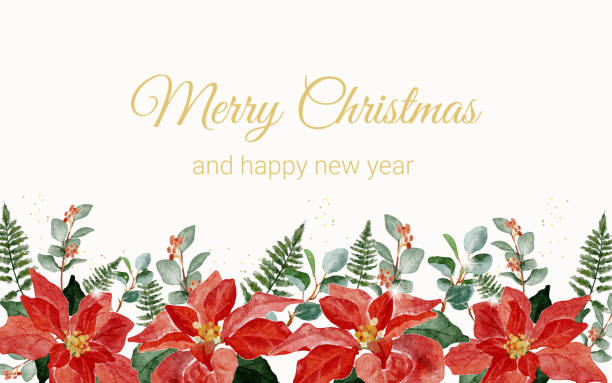 akwarela świąteczna poinsecja kwiat bukiet wieniec rama ze złotym brokatem - poinsettia stock illustrations