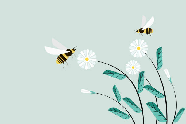 illustration von honigbienen, die um blumen fliegen - flower pollination stock-grafiken, -clipart, -cartoons und -symbole