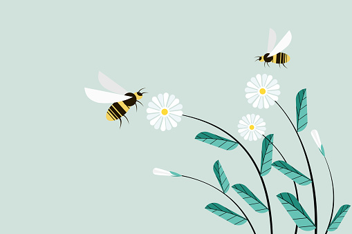 Illustration of honeybees flying around flowers