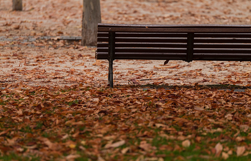 Wooden bench in the quiet park