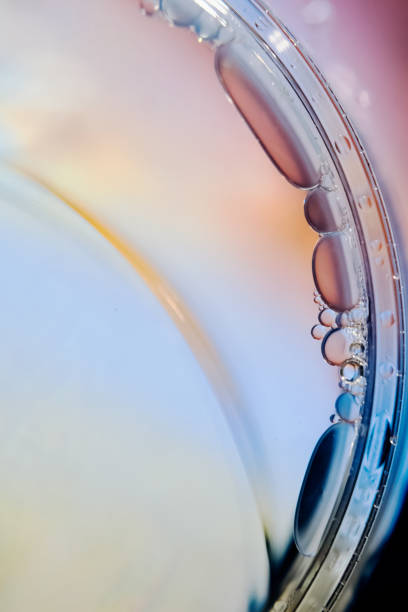 istock Water and Oil Bubbles color abstract 1350777884