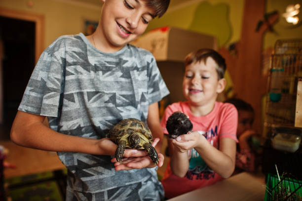 istock Kids playing with favorite pets 1350777998