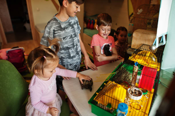 istock Kids playing with favorite pets 1350778000