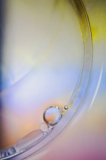 istock Water and Oil Bubbles color abstract 1350778374