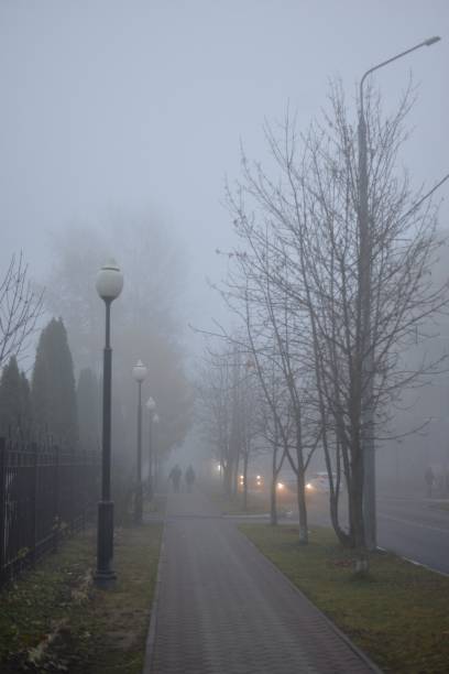 istock Path in the early fog. 1350778472