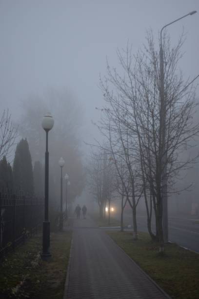 istock Path in the early fog. 1350778477
