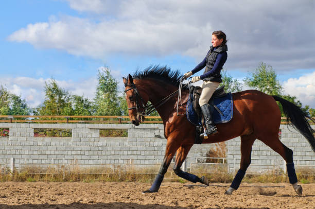 istock young girl riding a horse 135077905