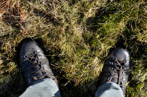 Horizontal image of crossed female legs wearing Alpine Touring Randonee Boots on woman feet in green mountain field.