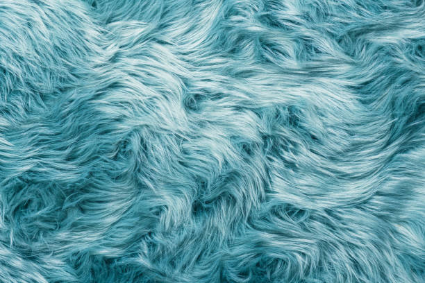 vista superior de textura de piel. fondo de piel turquesa. patrón de piel. textura de pelaje peludo turquesa. textura de lana. piel de oveja esponjosa - blue carpet rug fiber fotografías e imágenes de stock