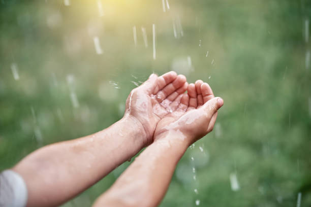 istock Little boy enjoys warm summer rain on meadow in backyard 1350784594