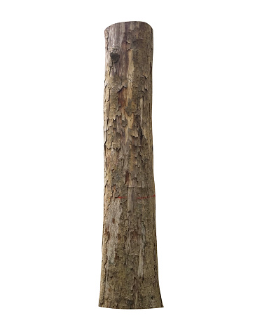 Wooden log (Clipping Path) isolated on the white background