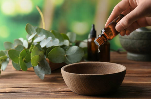 Woman pouring eucalyptus essential oil into bowl on wooden table stock photo