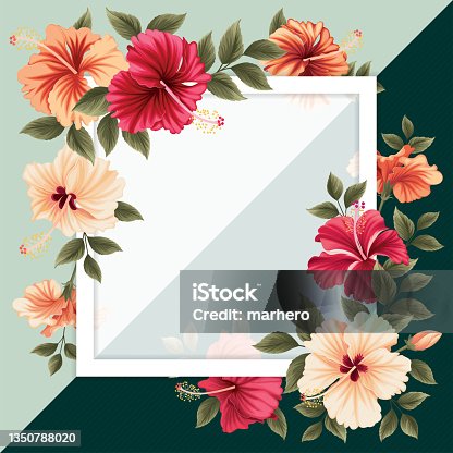 istock Decorative Hibiscus flower with leaves in square shape. Vector set of blooming flower for your design. Adornment for wedding invitations and greeting card. 1350788020