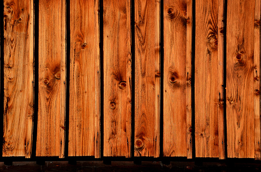 old farmhouse stained planks of wood paneling of the cottage. brown sunlit planks shining in the sun. annual rings and blackened knots, blackened, burned,