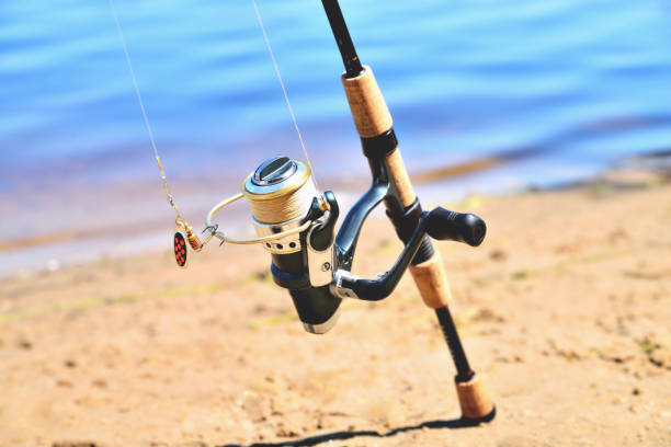 fishing rod with reel on the background of the river, blue water, sun, sand fishing rod with reel on the background of the river, blue water, sun, sand tinca tinca stock pictures, royalty-free photos & images
