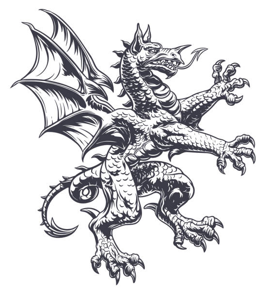 cyfrowy rysunek atramentu heraldycznego smoka - coat of arms illustrations stock illustrations