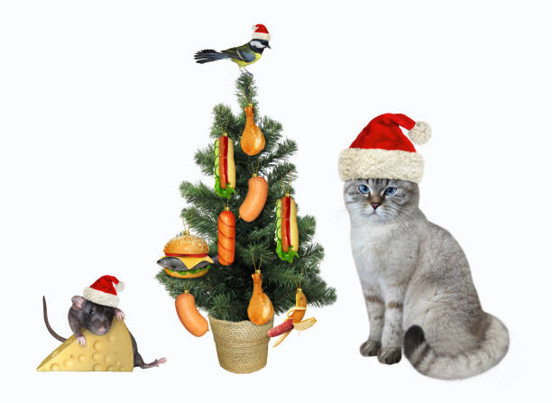 istock Cat ashen decorates tree with delicious food 1350793955