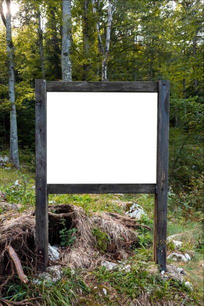 istock Sign in the forest with blank white board for copy space 1350796598