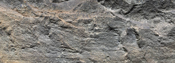 istock texture of nature stone - grunge stone surface background 1350796625