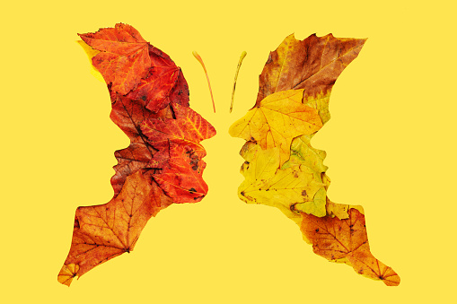 Psychology and optical illusion abstract concept four faces butterfly image. Flat lay arrangement of different shapes and color of maple leaves against yellow background.