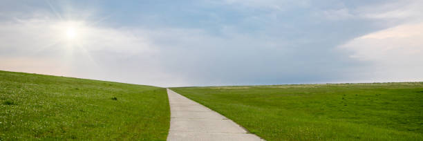 istock road in the summer field 1350801963