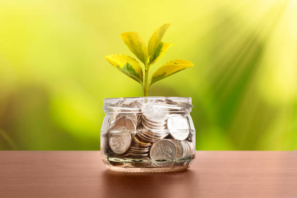 istock Budget, saving money with growing plant from jar 1350804353
