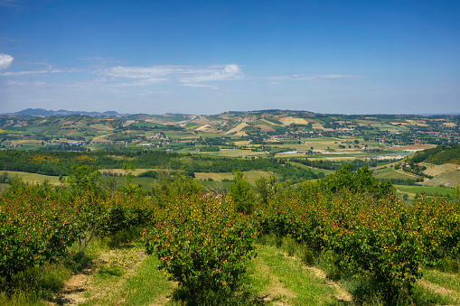 Country landscape on the hills in the Bologna province, Emilia-Romagna, Italy, near Imola and Riolo Terme, at springtime