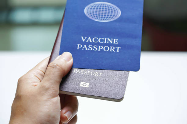istock Vaccine passport. 1350813037