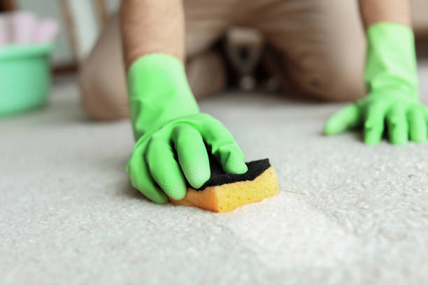 istock Man removing dirt from carpet at home, closeup. Cleaning service 1350817714
