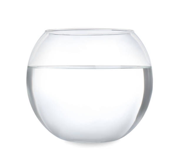 istock Glass fish bowl with clear water isolated on white 1350818841