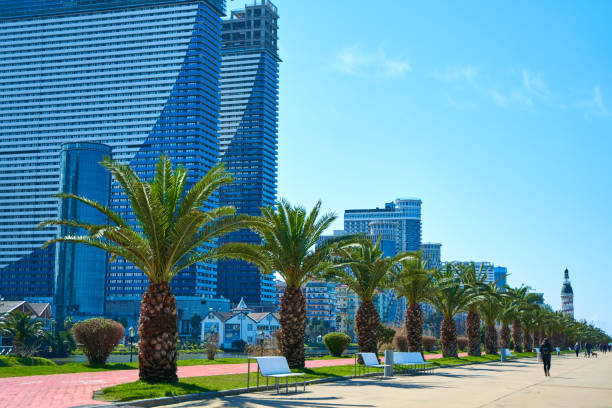 The modern resort town of Georgia Batumi. A neat line of palm trees on the embankment The modern resort town of Georgia Batumi. A neat line of palm trees on the embankment. batumi stock pictures, royalty-free photos & images