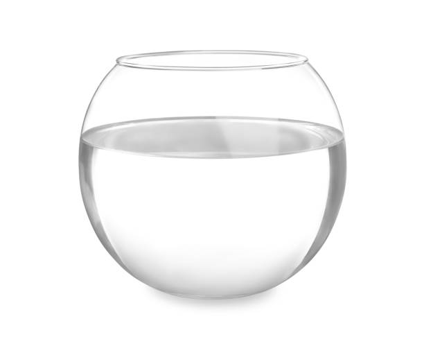 istock Glass fish bowl with clear water isolated on white 1350822425