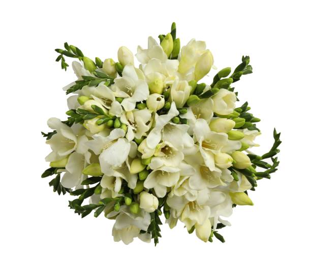 istock Beautiful freesia bouquet isolated on white, top view 1350823659