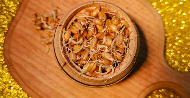 istock Close-up of sprouted wheat grains 1350827179
