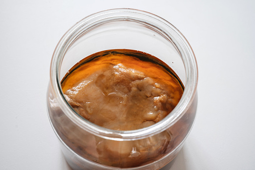 Organic homemade kombucha fungus in glass jar on white. Homemede probiotic fermented tea healthy for digestion and gut. Superfood. Close up. Top view