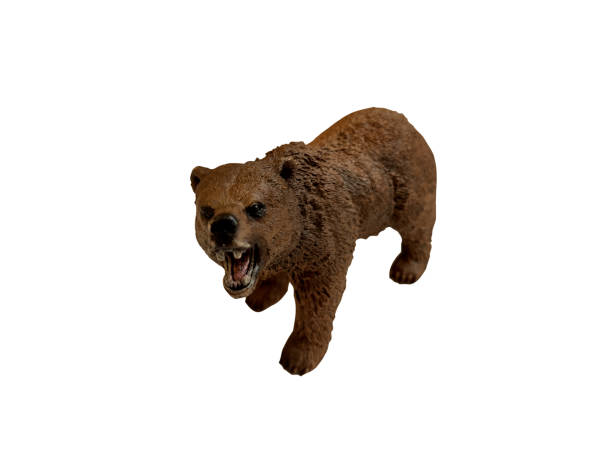 istock toy grizzly bear isolated on white 1350828511