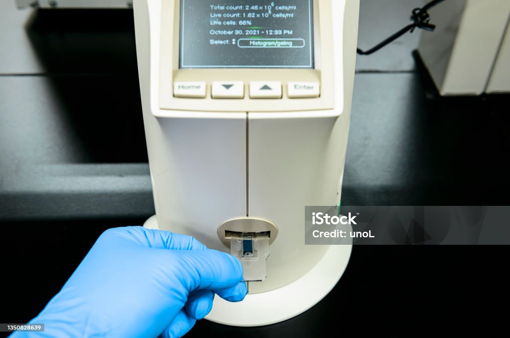Cell Count Lab Scientist Counts Cell Numbers And Viability By Automated Cell Counter ...