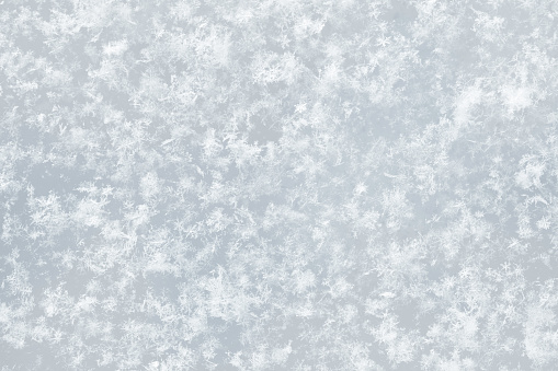 Real snowflakes. Beautiful macro shot of frozen snow in winter.